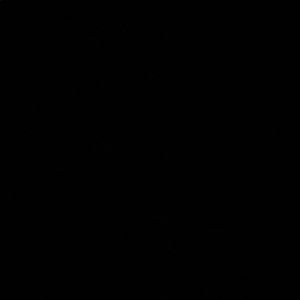 Meet your Posher, Luna